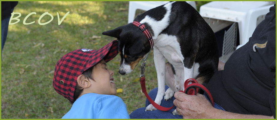 Adventure Basenjis love children