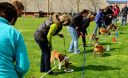 Sausage Eating in progress